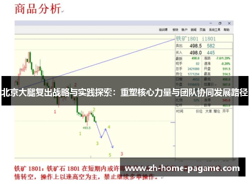 北京大腿复出战略与实践探索：重塑核心力量与团队协同发展路径