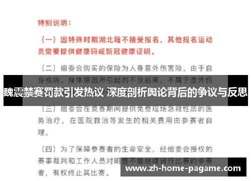 魏震禁赛罚款引发热议 深度剖析舆论背后的争议与反思