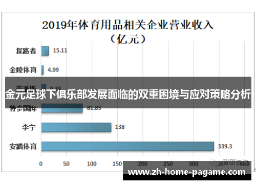 金元足球下俱乐部发展面临的双重困境与应对策略分析