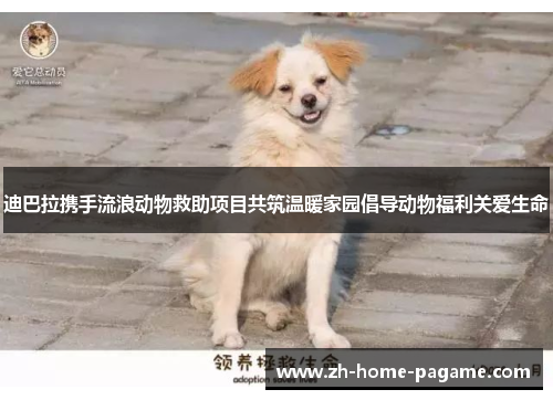 迪巴拉携手流浪动物救助项目共筑温暖家园倡导动物福利关爱生命