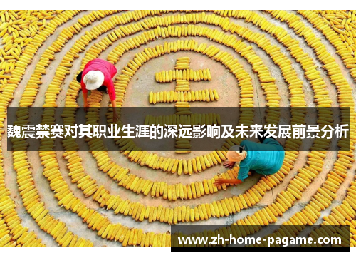 魏震禁赛对其职业生涯的深远影响及未来发展前景分析